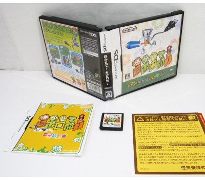 Chibi-Robo: Park Patrol, NDS