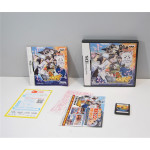 Gintama Gin-Oh Quest, NDS