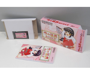 Kiki Kaikai Advance (boxat) REPRO, GBA