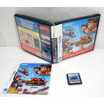 Mario vs. Donkey Kong - Mini Land, NDS