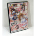 Ikki Tousen - Survival Soldier - promo DVD *inplastad*